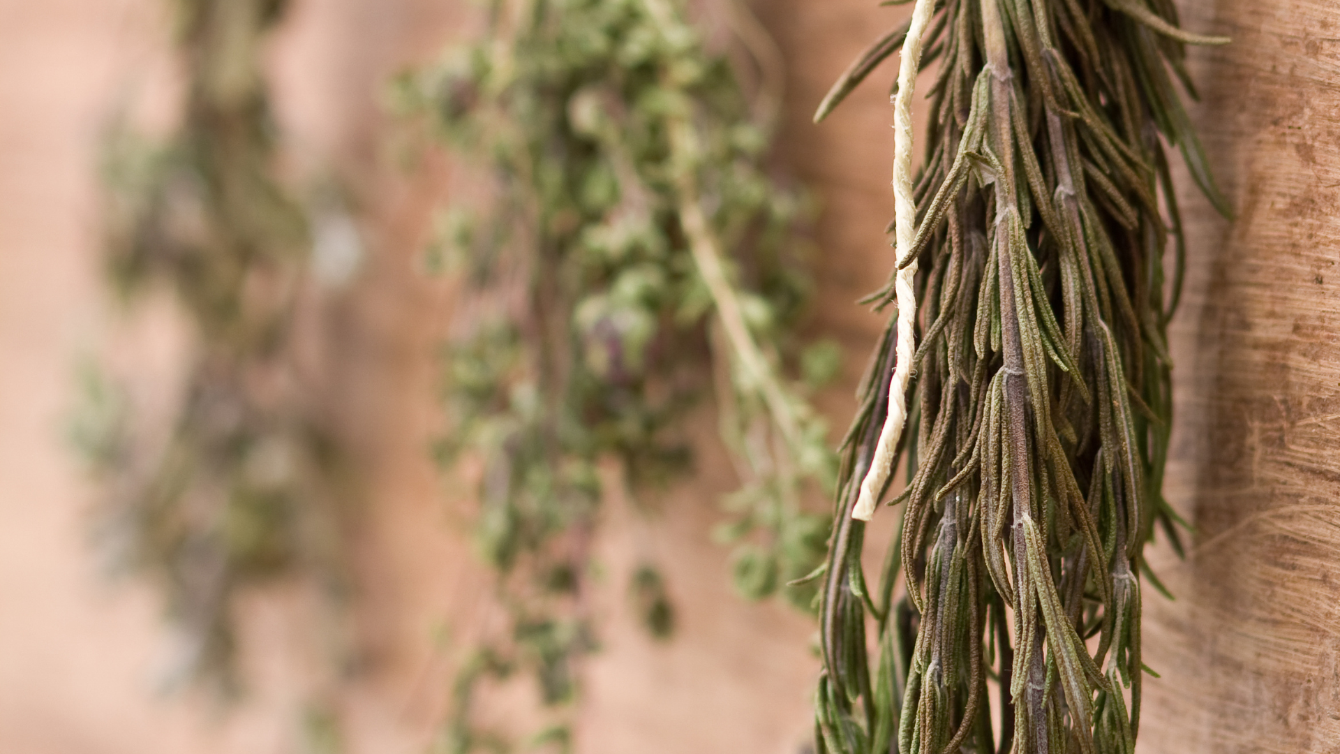 Nourishing Your Heart: The Benefits of a Plant-Based Diet